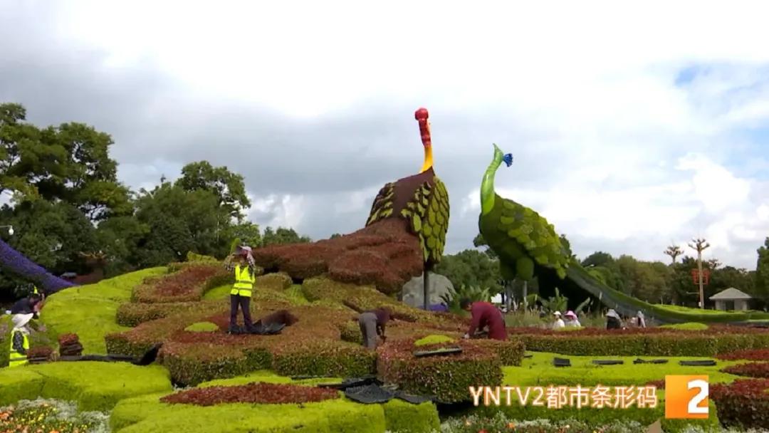 昆明100个立体花坛位置,昆明cop15立体花坛