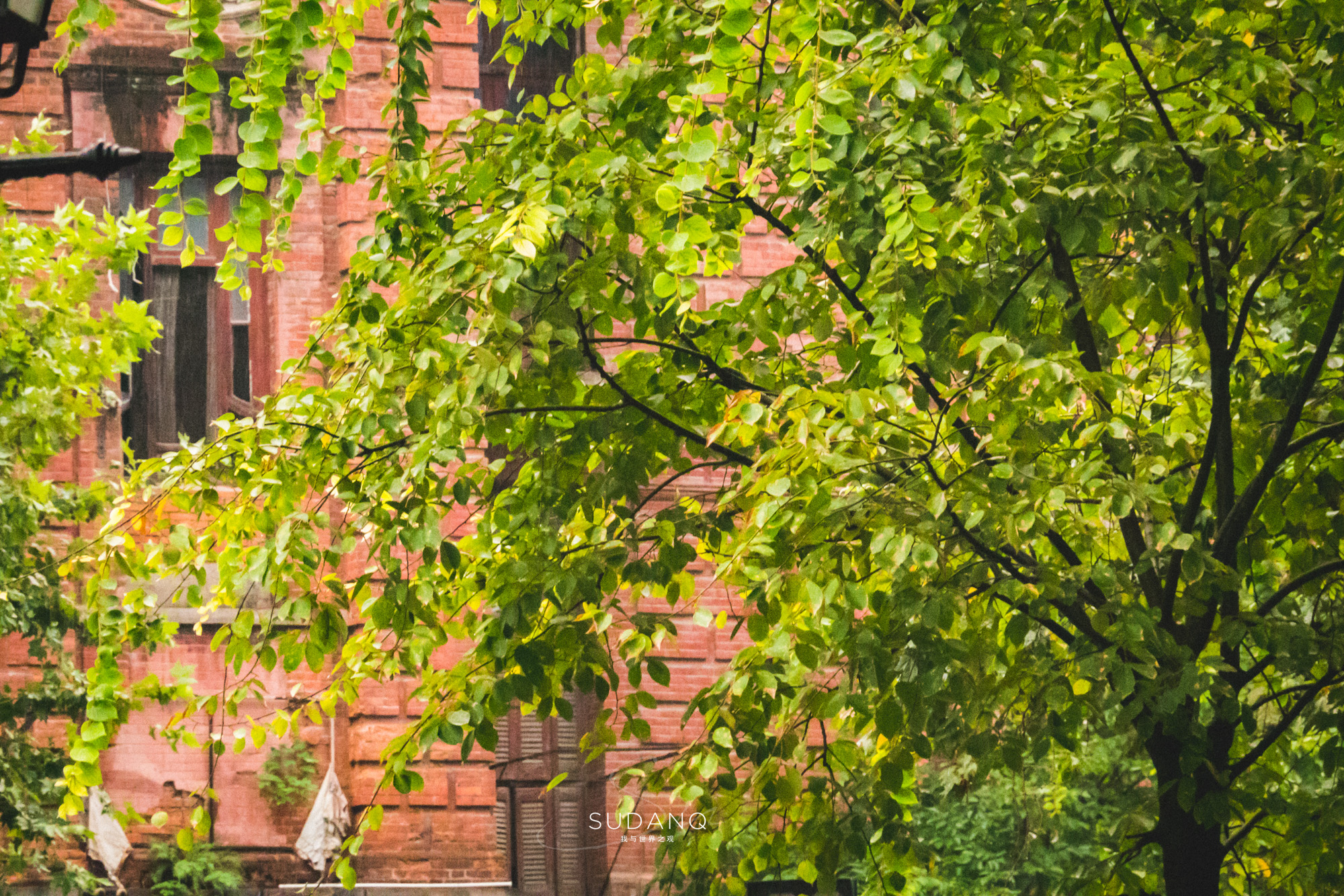 武汉脏乱差街道,武汉街道脏乱差图片