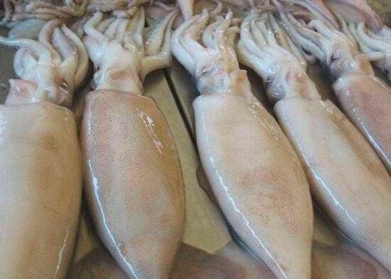 海产品鱿鱼怎么清洗比较干净,鱿鱼怎么洗干净图片