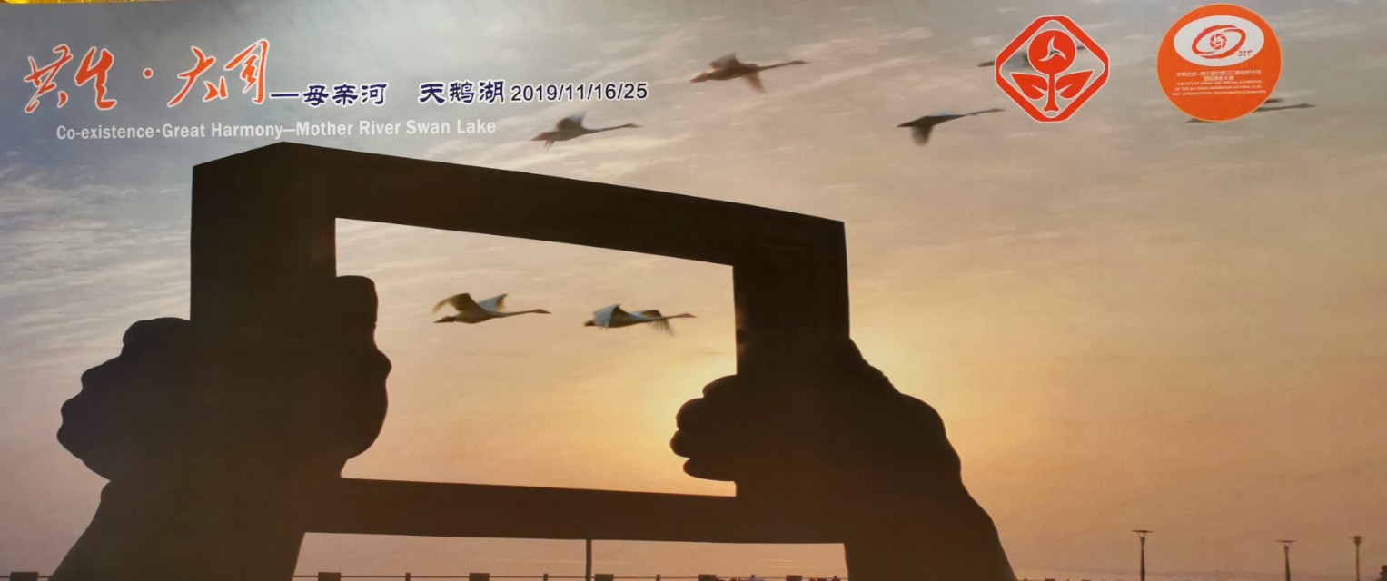 三门峡天鹅湖大酒店,天鹅湖大酒店附近商业街