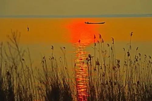 抑郁症患者轻生的5个信号,抑郁症决定轻生后会做什么