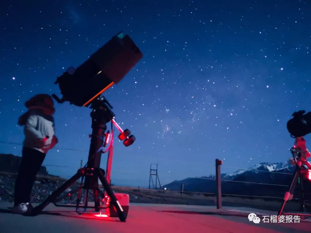 旅行7天,新西兰霍比特人村游记