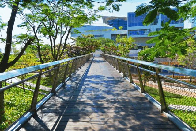 深圳适合春游的地方推荐及理由,深圳不可错过的游玩地方