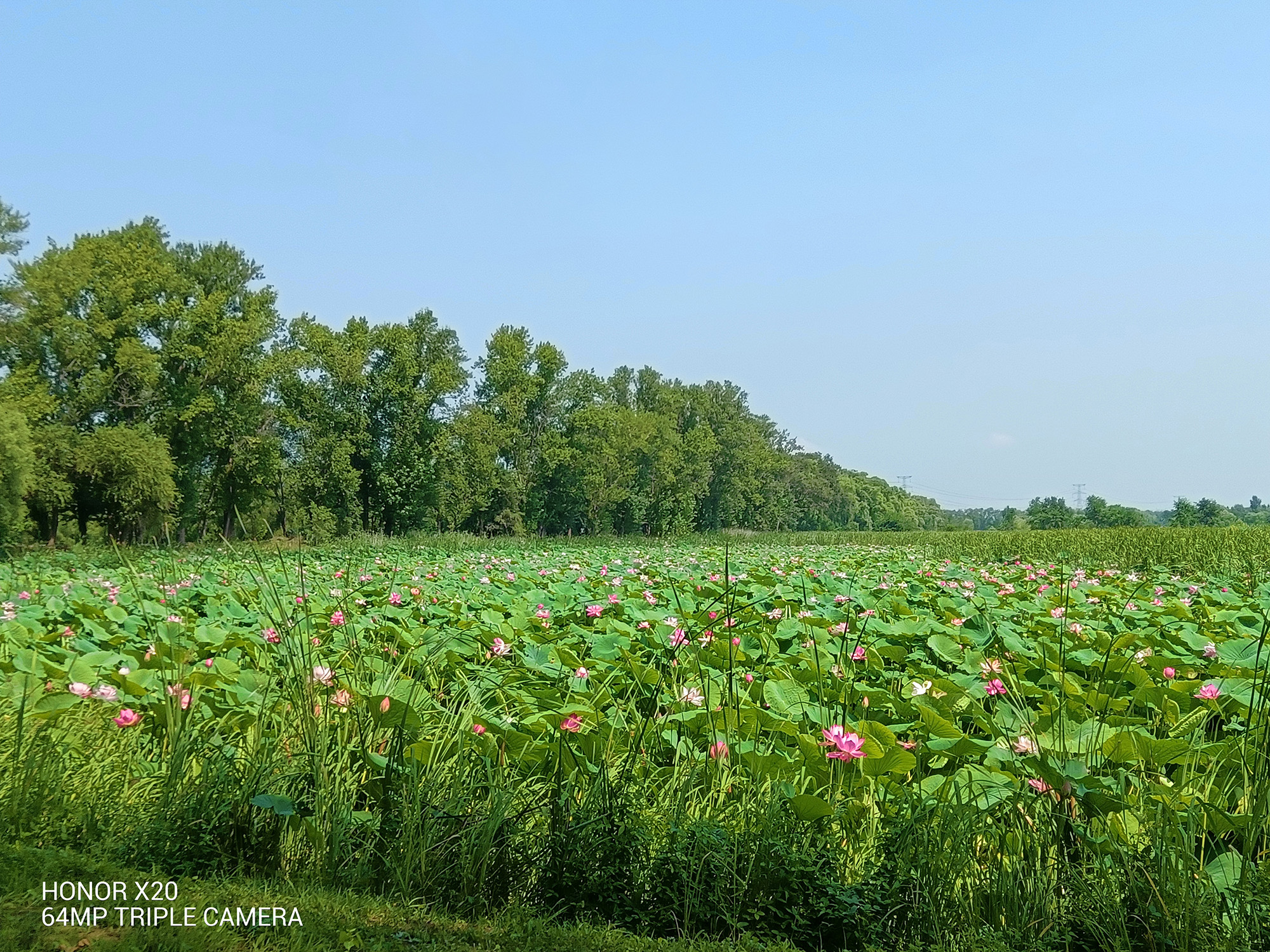 荣耀x20体验优缺点,荣耀x20优点与缺点