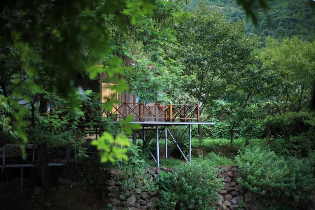 七上秋天的怀念的笔记,七年级人教版上册秋天的怀念批注