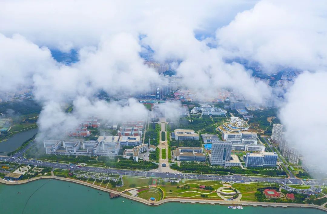 中国石油大学华东缺点,中国石油大学华东为什么考数二