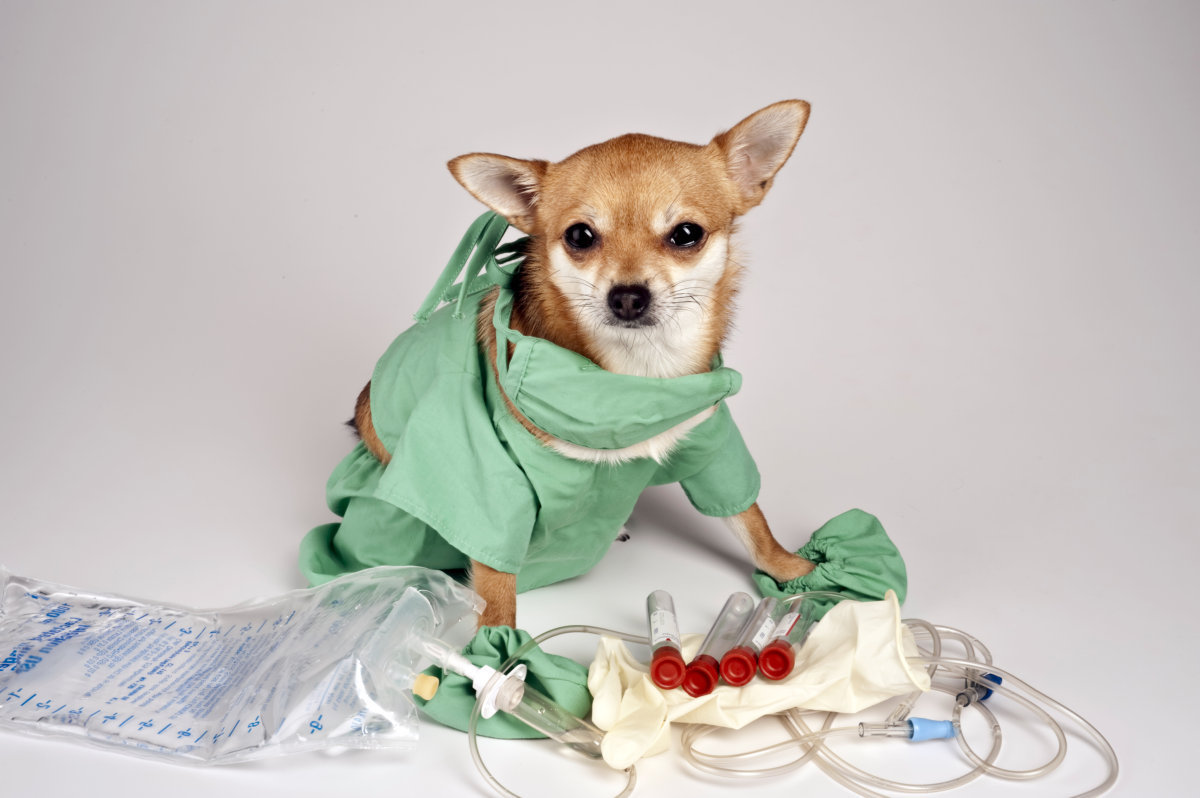 细小能治的概率有多少,得细小治好的几率