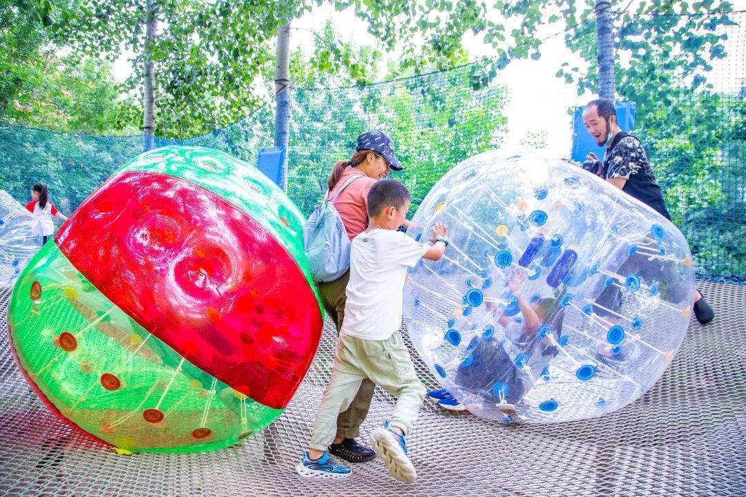 【FENG娱】来南宫五洲植物乐园体验火遍全网树上网绳乐园解压全靠它！