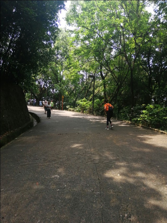 东莞旗峰公园掠影,东莞旗峰公园大体俯视图片