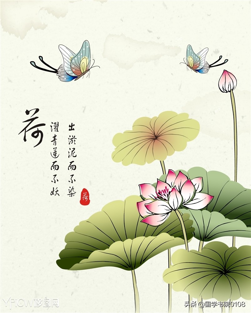 关于荷花唯美的诗句大全,荷花诗词唯美了整个夏天