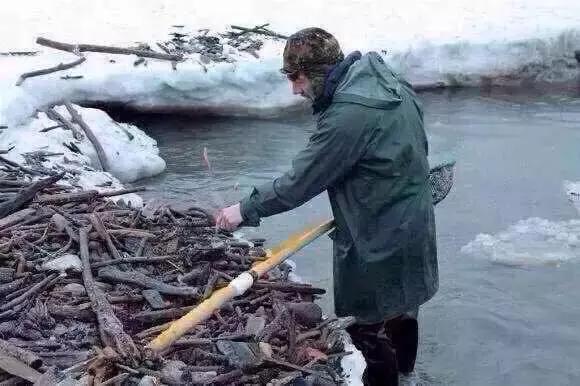 老蜜蜡与新蜜蜡区别是什么,老蜜蜡和新蜜蜡的区别图片