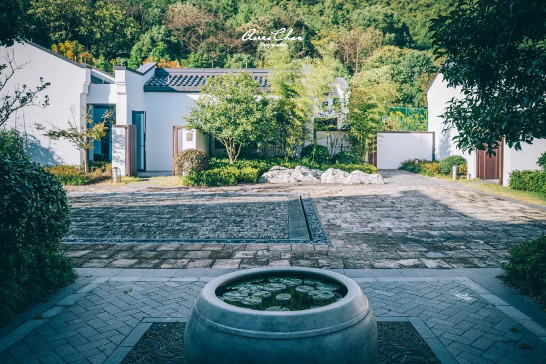 这是湖边度假酒店的性价比天花板！还有双11玩法剧透