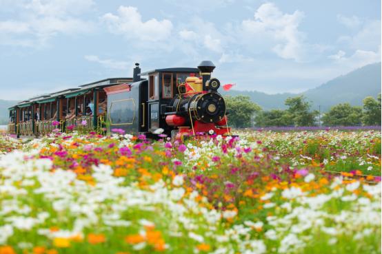 缙云最值得去的地方,缙云大洋山游玩攻略