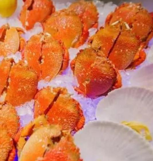 喜来登贵航酒店天宝阁中餐厅优惠,喜来登酒店单人自助288元