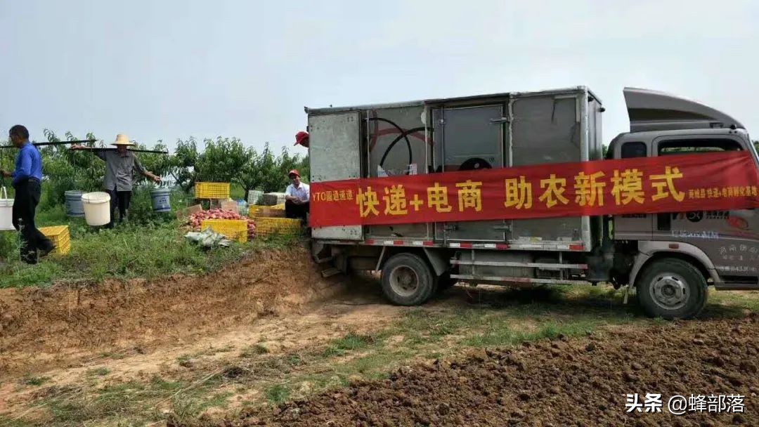 现在的农村最适合做什么生意,现在农村适合做什么生意创业