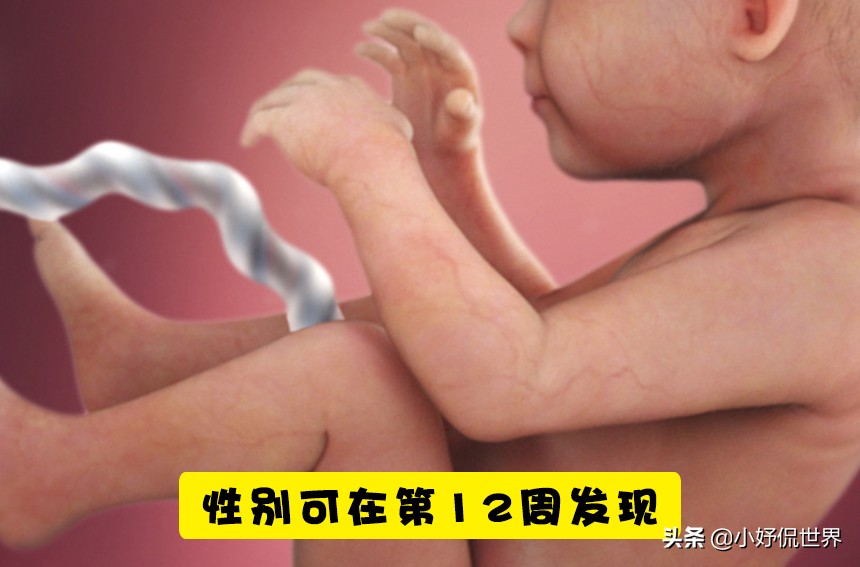 有关怀孕分娩的知识,怀孕时要知道的一些新生儿常识