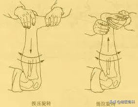 半月板科普小知识,半月板一二三度损伤报告