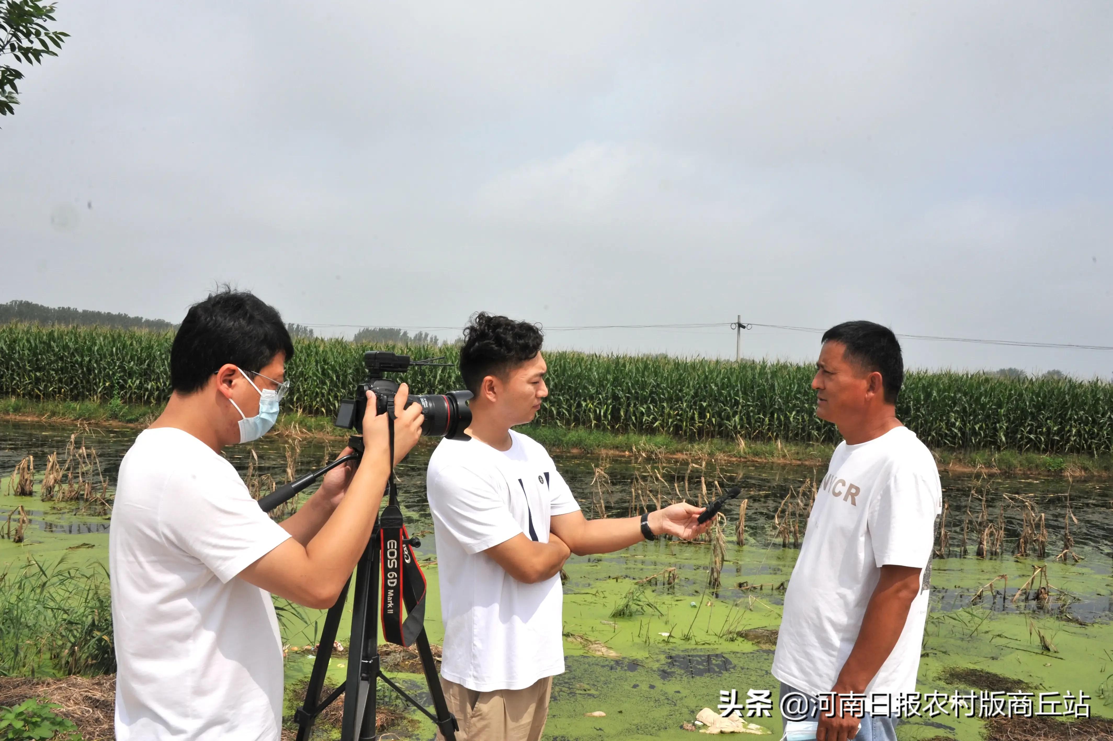 女童不慎落水还好有人相救,孩子不慎落水群众前赴后继相救