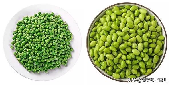 豆角用的是四季豆还是扁豆,豇豆四季豆扁豆区别