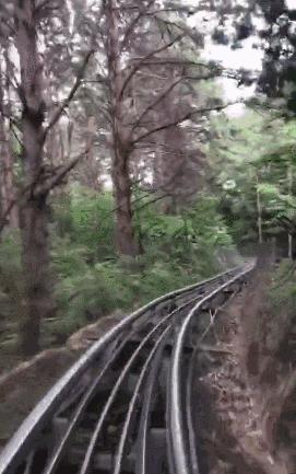 长春发布重要通知情况,长春面向社会公开招聘