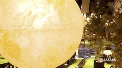 15万颗施华洛世奇水晶,eliesaab婚纱