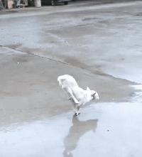 我在学校超市买了一包南京煊赫门收了我19块，我该怎么举报