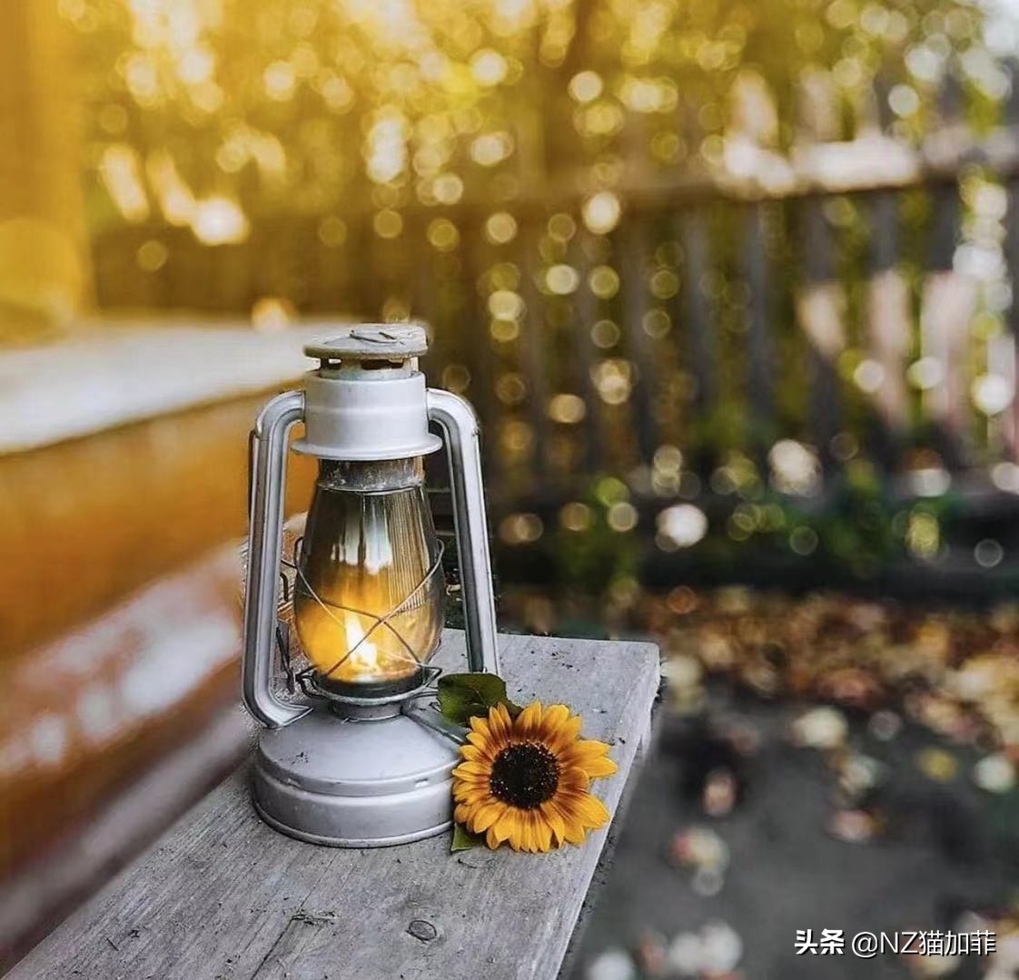 财富故事大全讲解,财富大有可为的小故事