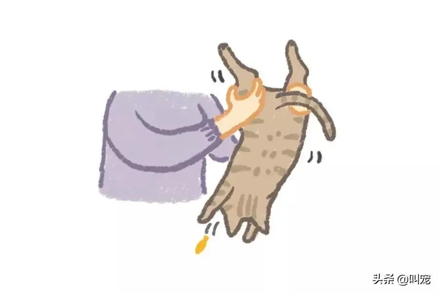 狗狗经常要吃异物达到呕吐怎么办,狗狗误吞异物怎么催吐