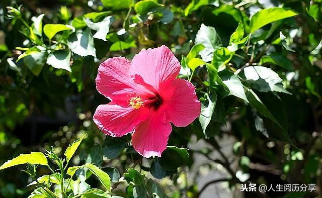 人生格言正能量励志名句简短,励志短句正能量名人名言