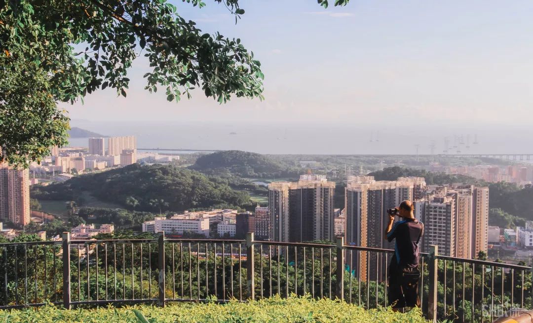 鍘夊浜嗘垜鐨勫ぇ閽﹀窞,鍘夊浜嗘垜鐨勫ぇ淇濆畾