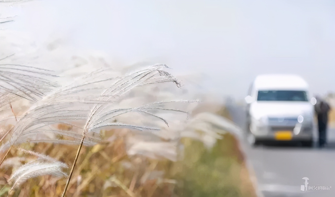 山东这两座小城，集齐了所有令人向往的美景，超级适合自驾！