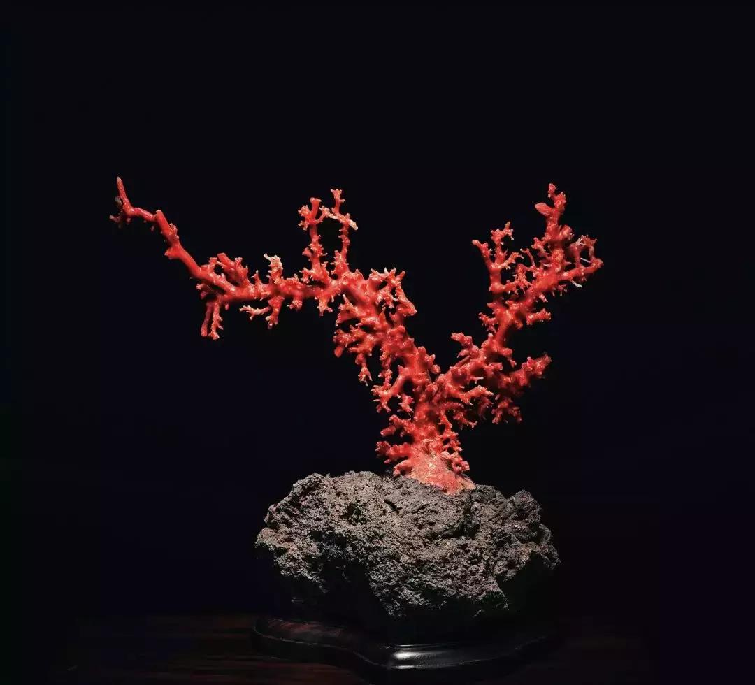 在香港违反逗留会怎样处罚,去香港一定要办理的事