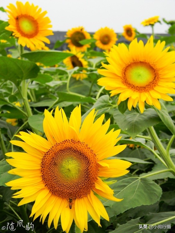 单车骑行无锡,无锡单车骑行路线