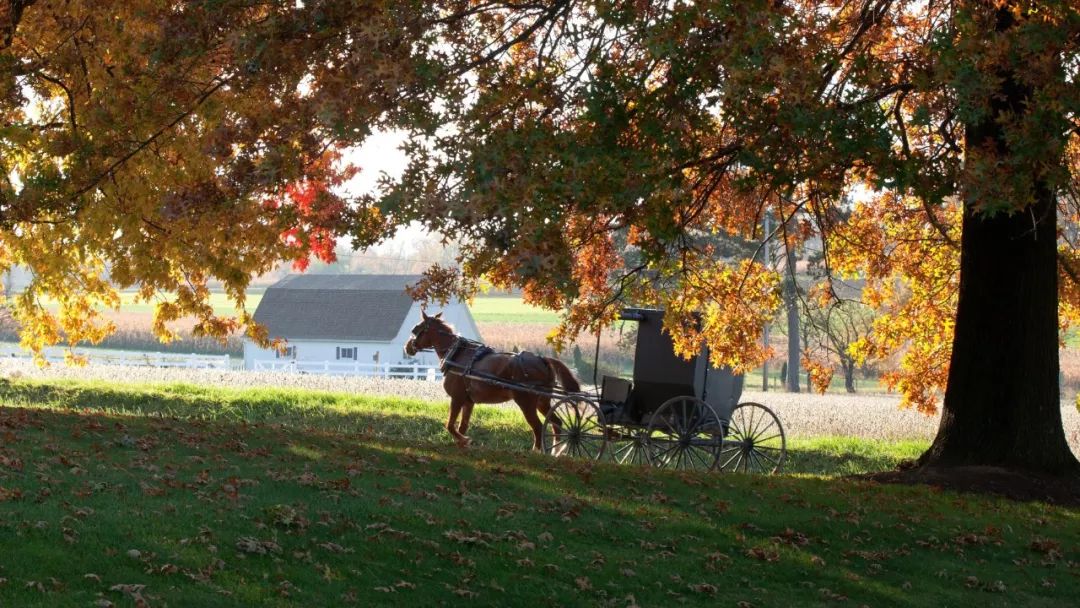 读城解读,读城系列内容