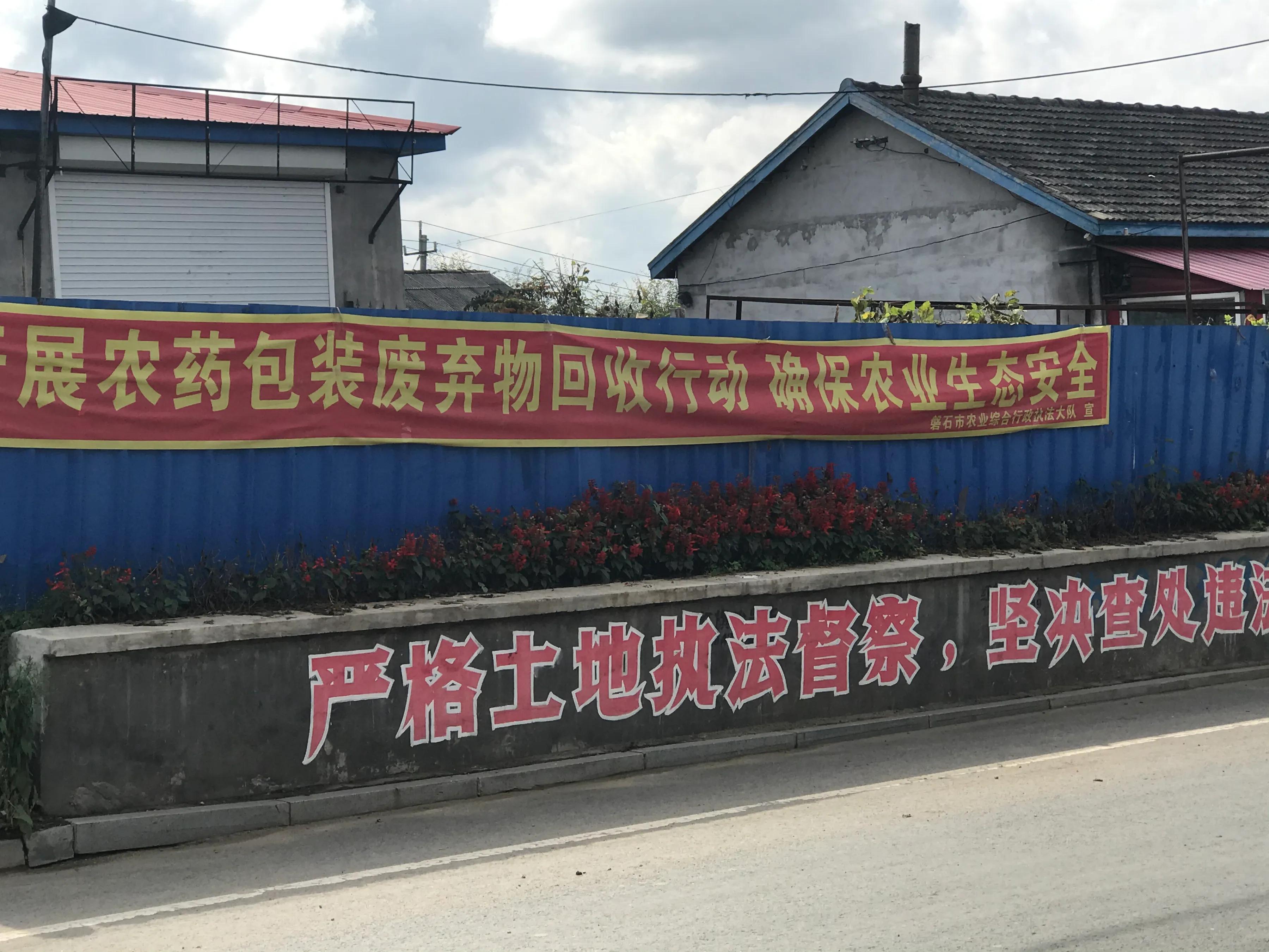 长白山脚下美丽的松山镇，因千岁的红豆杉而闻名