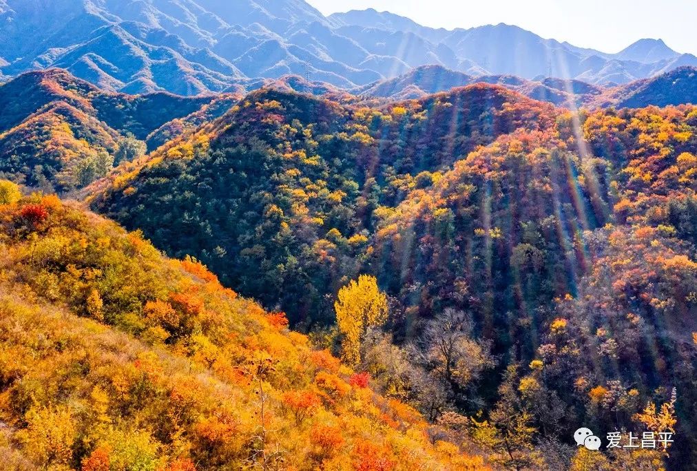昌平区适合一日游玩踏青的地方,4月中旬昌平区最值得去的景点
