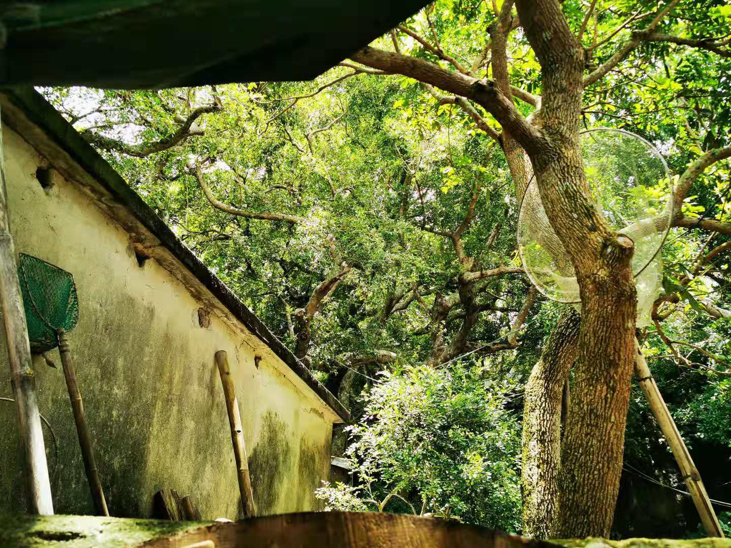 深圳马尔代夫游,深圳三门岛马尔代夫