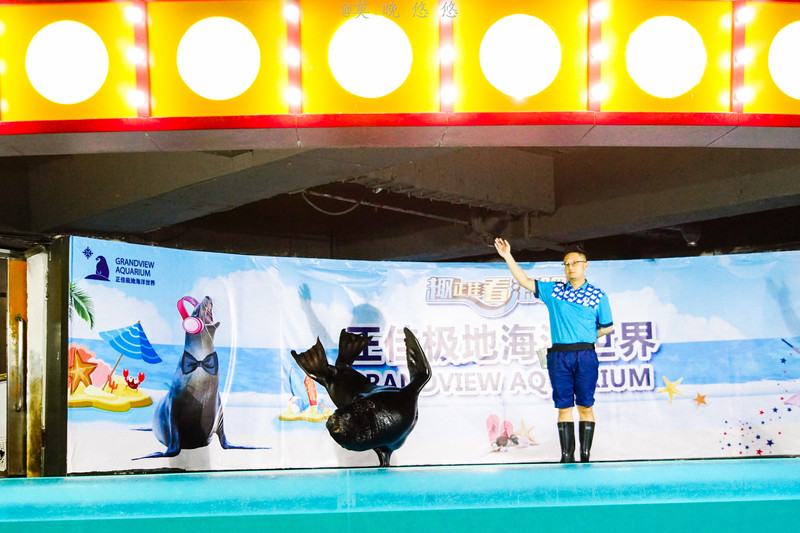 海洋极地海洋世界攻略,正佳极地海洋世界白鲸海象