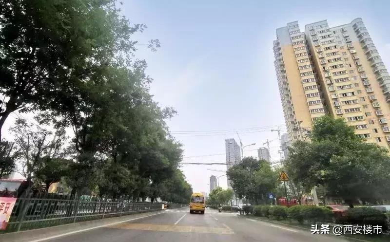 老带新各减100元,老带新成交占比