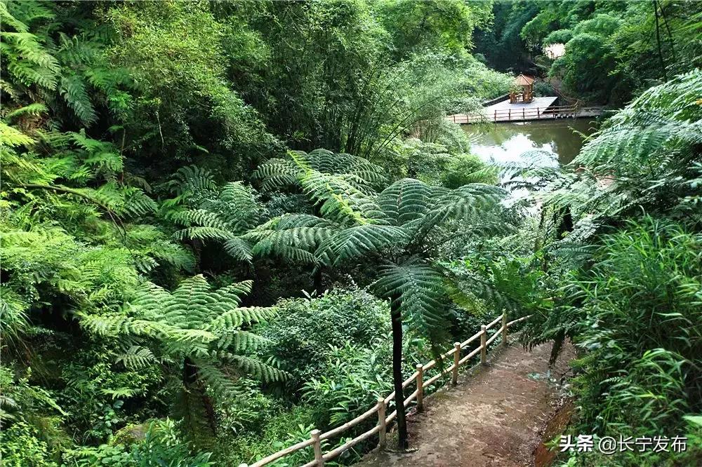 古河是哪里,这就是大运河原文