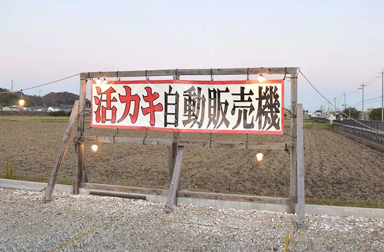 卖金鱼、卖昆虫、卖习题?!日本的自动贩卖机,脑洞突破天际