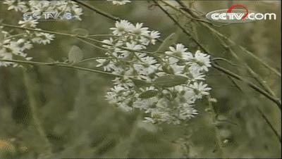 潜伏站长太太提到的哪些人,潜伏站长电影片段