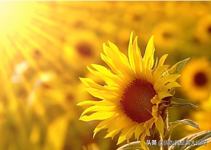 负债累累日子过不下去,负债累累打工收入不够怎么办