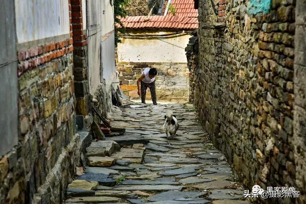 精致小青岛，秀美渔村入画来