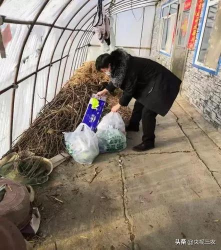 抓防疫保春耕两不误,促融合防疫春耕两不误