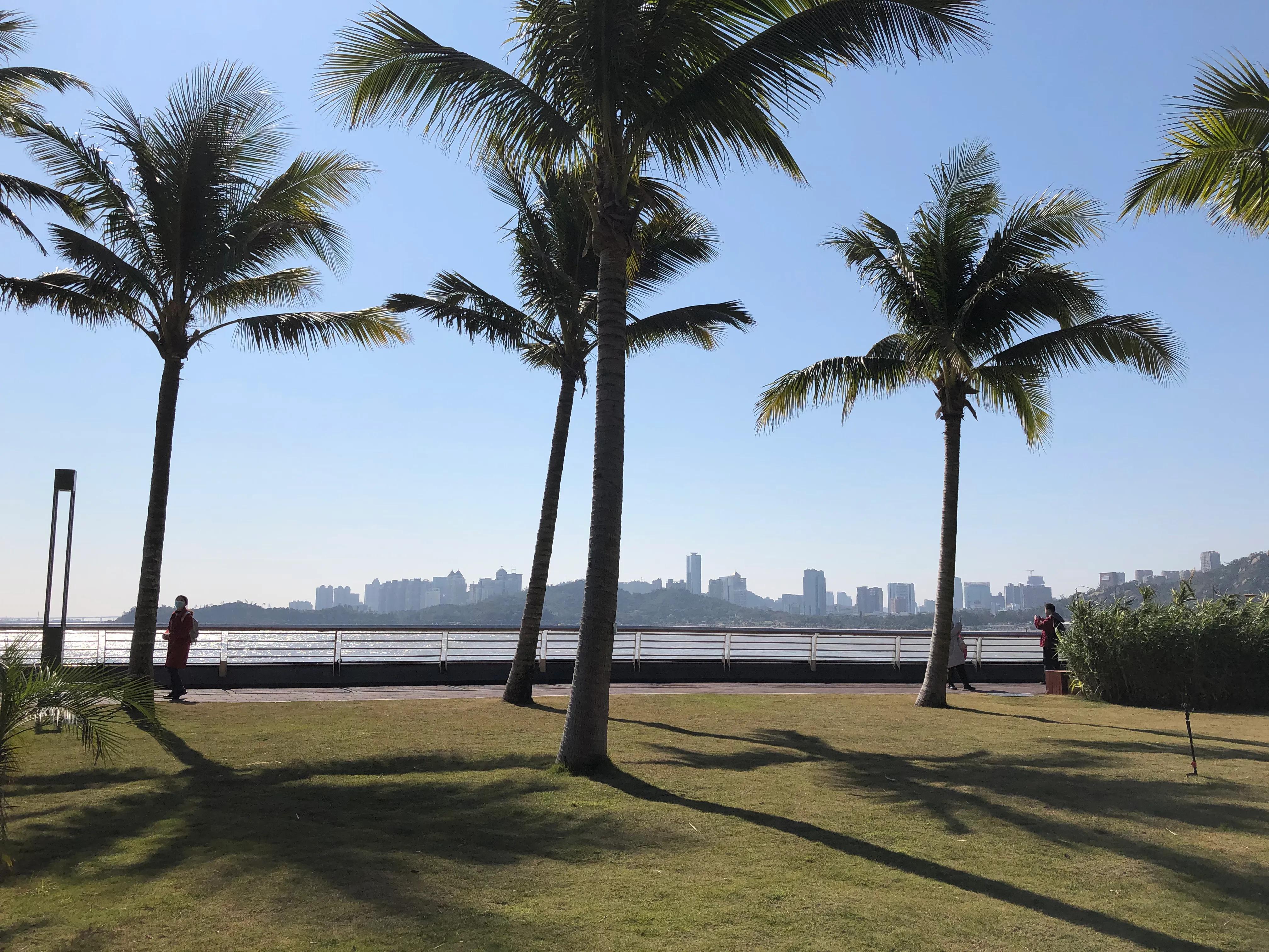 珠海野狸岛要门票吗,春节珠海野狸岛旅游