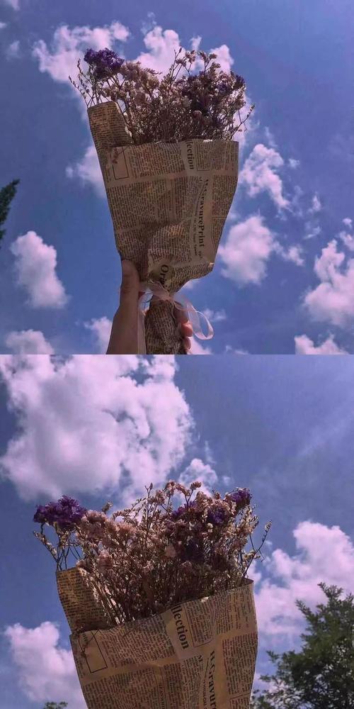 以天生我材必有用为题的作文,天生我材必有用高中作文记叙文