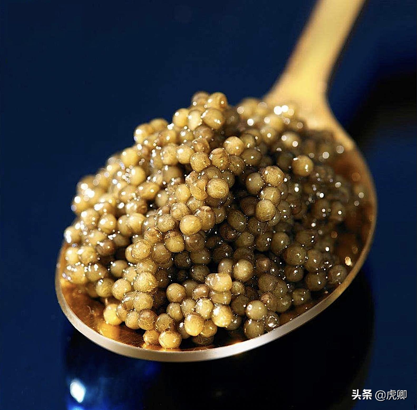 鲟鳇鱼国家保护动物吗,鲟鳇鱼国家保护