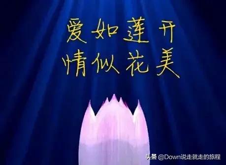 想你是我戒不掉的瘾原唱,想你是我戒不掉的习惯