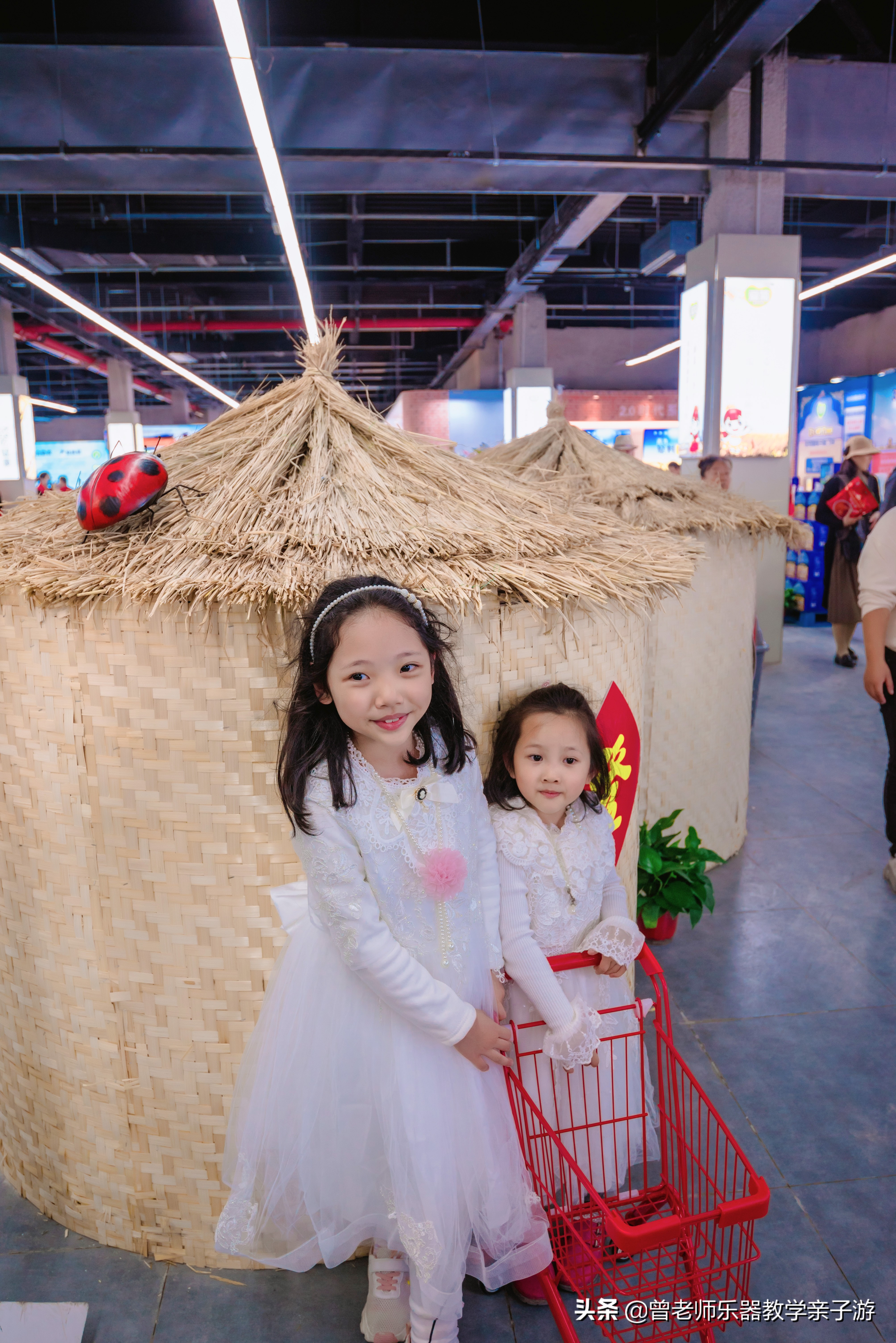 爱菊研学游,爱菊丝路文化菊花园西安